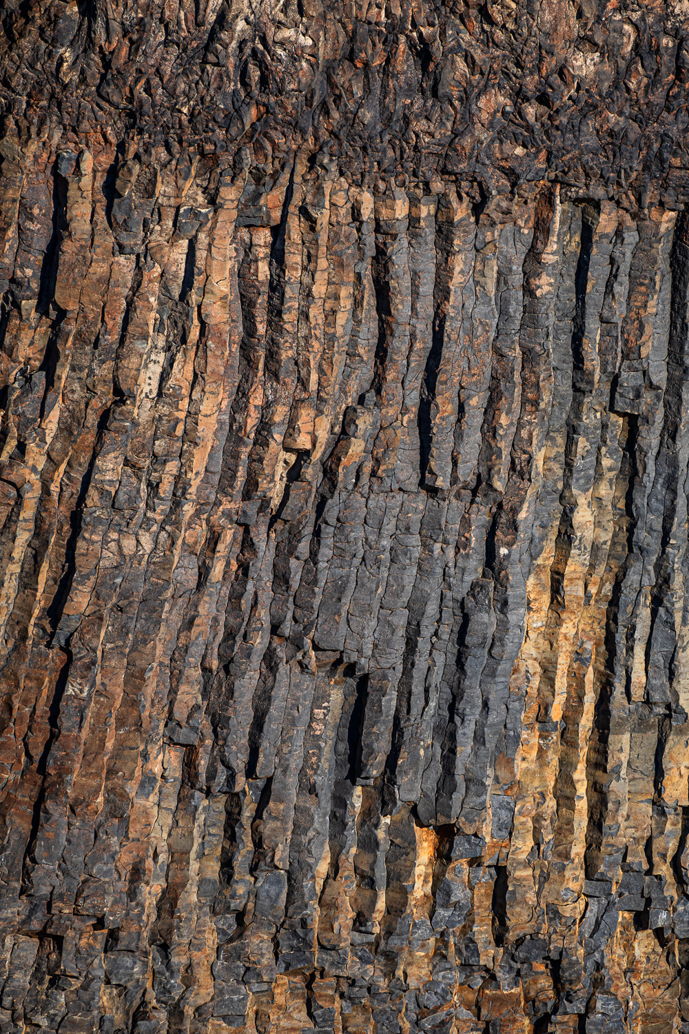 Tahltan Columns #2
