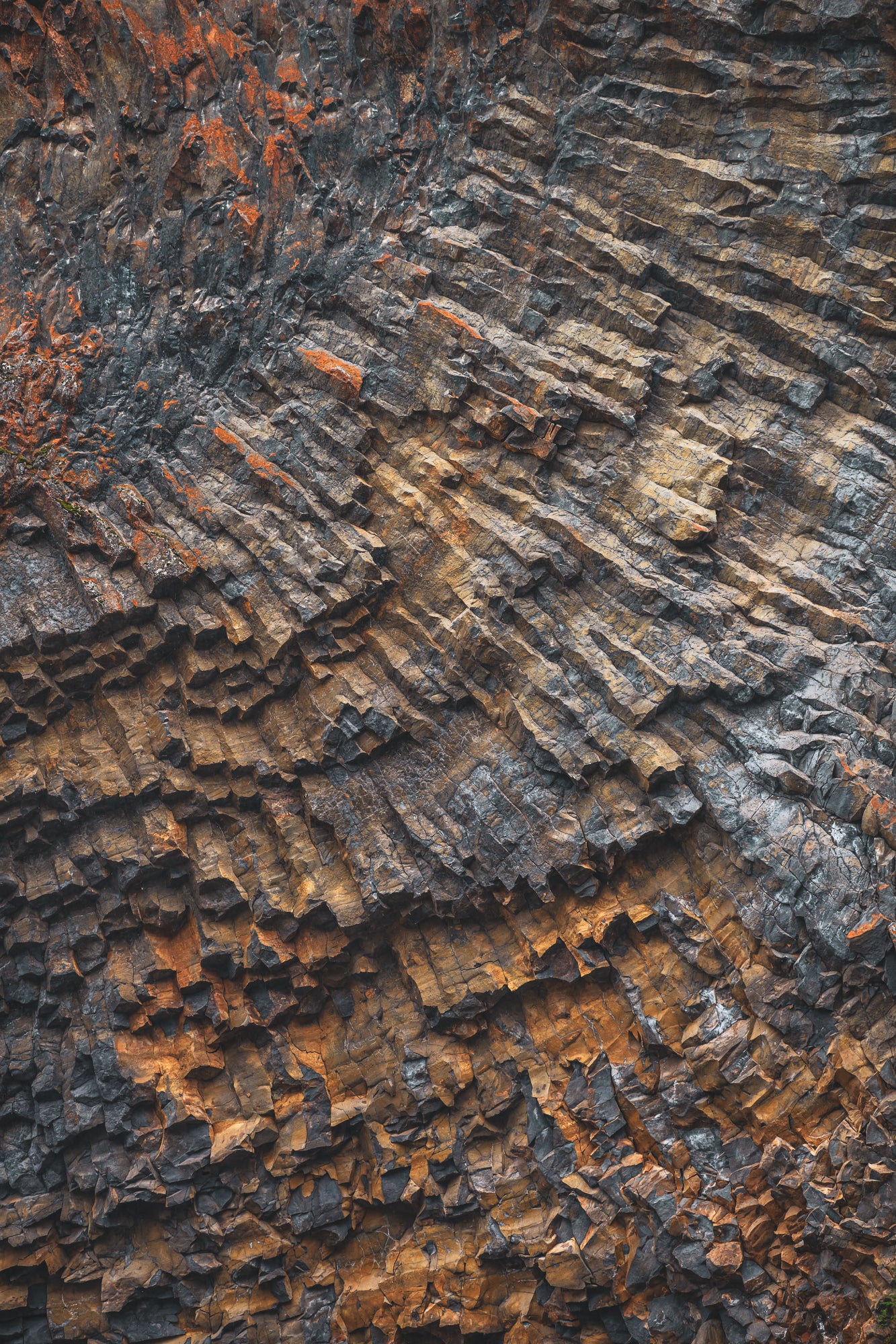 Tahltan Columns #1