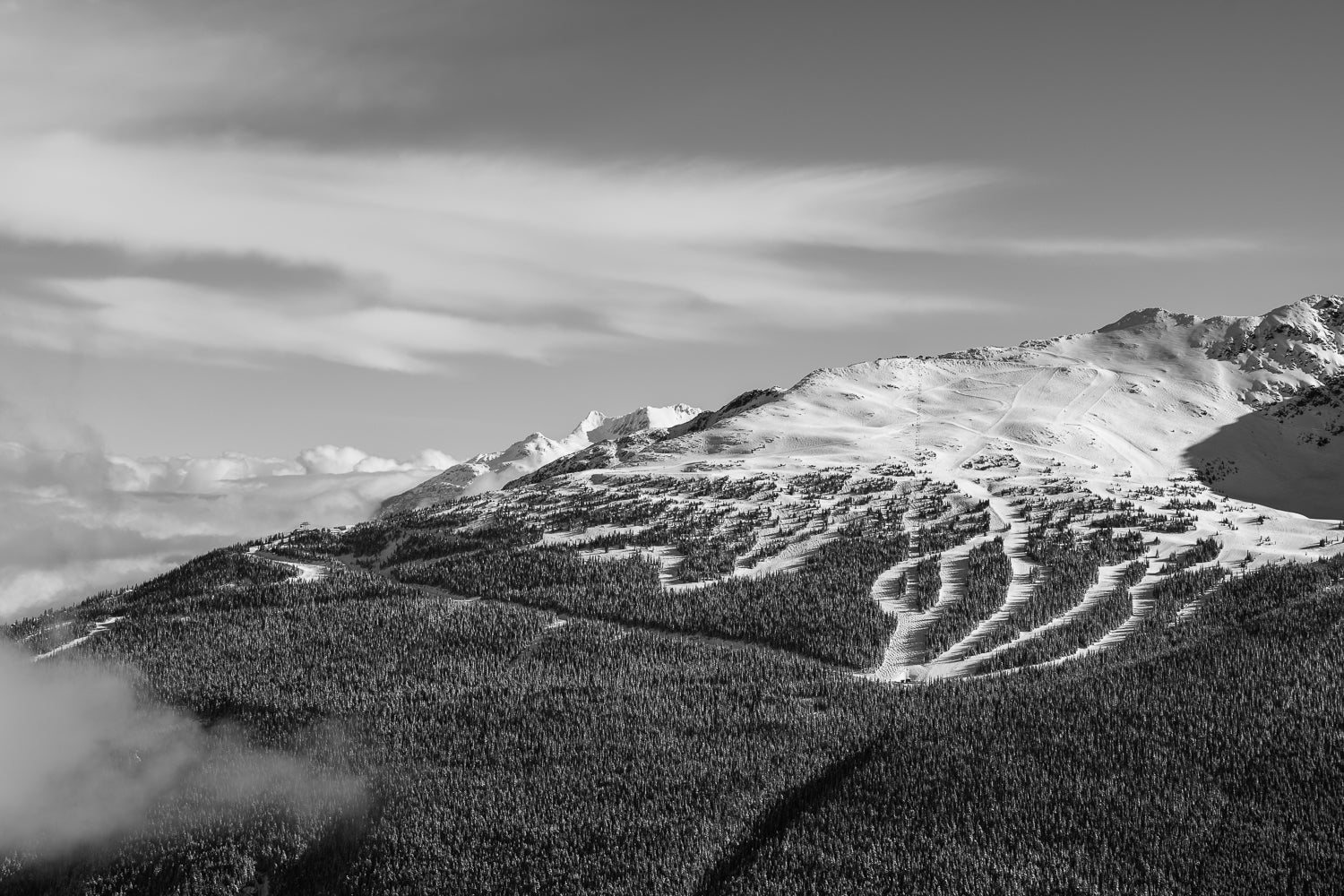 Whistler - Black and White